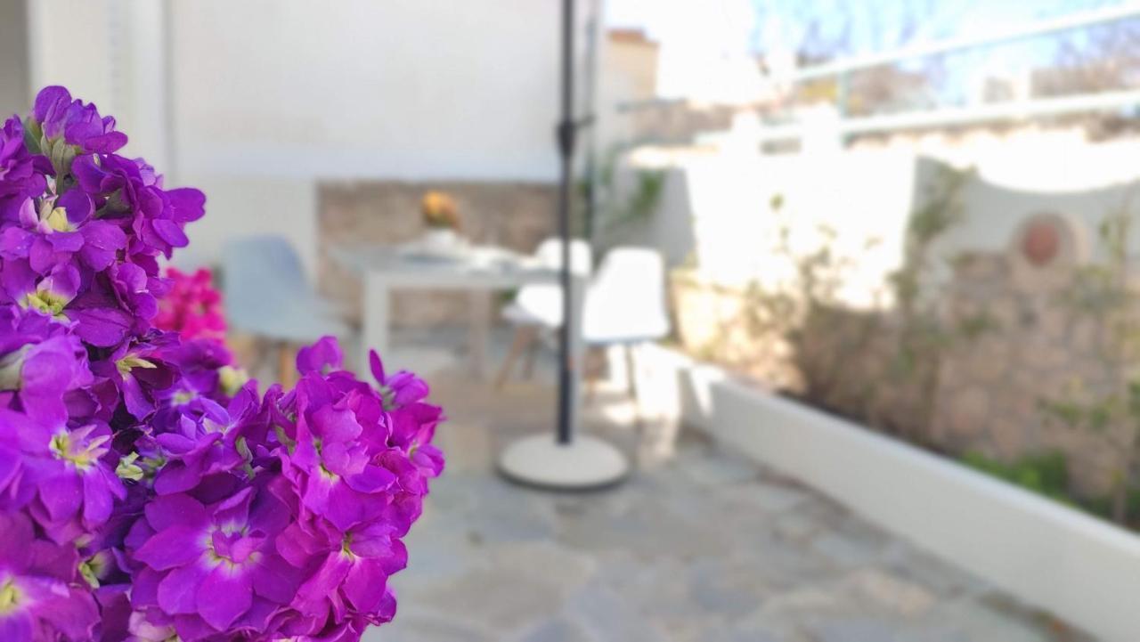 Hibiscus Home Αίγινα Εξωτερικό φωτογραφία